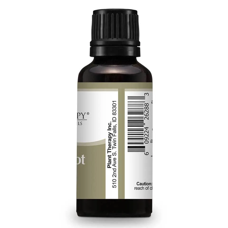 GingerRootCO2Side30nL__63085 Ginger Rood CO2 Essential Oil in 1oz/30mL - Image 4