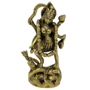 Kali Murti in 5”