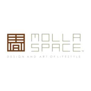 molla space logo 400x400